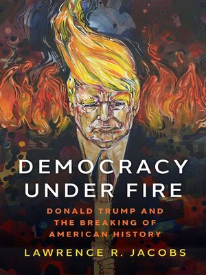 cover image of Democracy under Fire